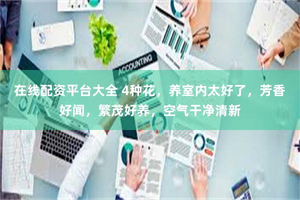 在线配资平台大全 4种花，养室内太好了，芳香好闻，繁茂好养，空气干净清新