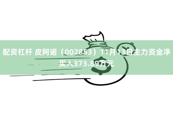 配资杠杆 皮阿诺（002853）11月13日主力资金净买入373.89万元