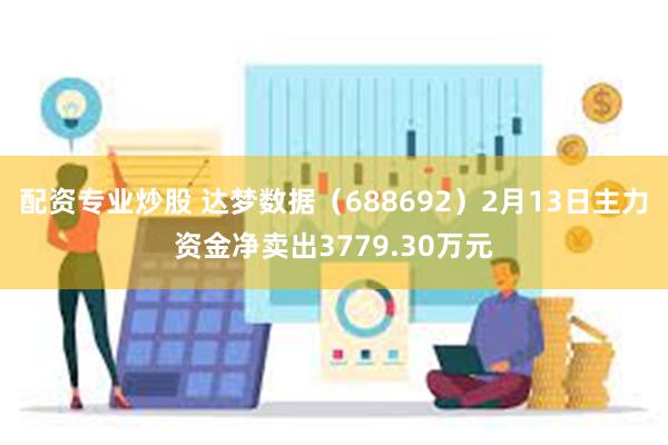 配资专业炒股 达梦数据（688692）2月13日主力资金净卖出3779.30万元