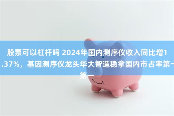 股票可以杠杆吗 2024年国内测序仪收入同比增11.37%，基因测序仪龙头华大智造稳拿国内市占率第一