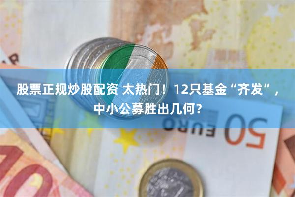 股票正规炒股配资 太热门！12只基金“齐发”，中小公募胜出几何？